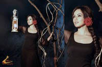Sana Khan Spicy Stills